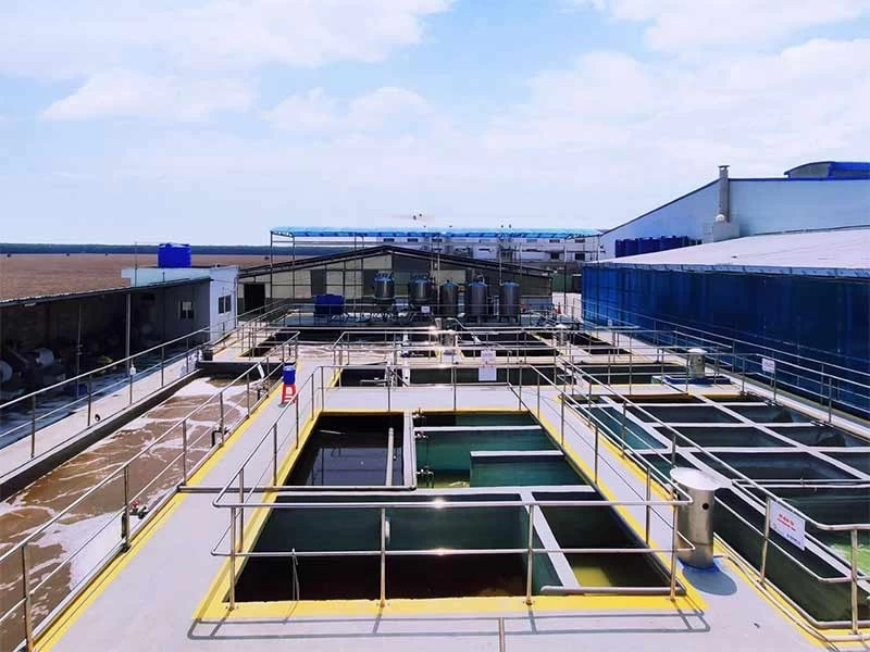 hệ thống xử lý nước thải công nghiệp đạt chuẩn