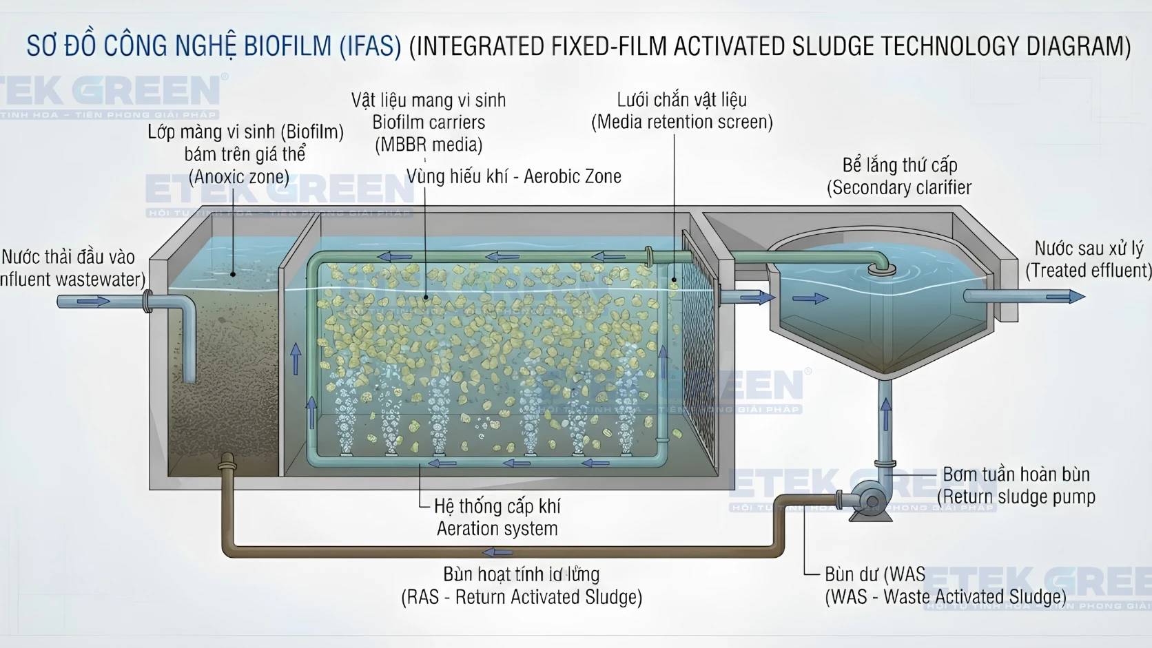 công nghệ Biofilm